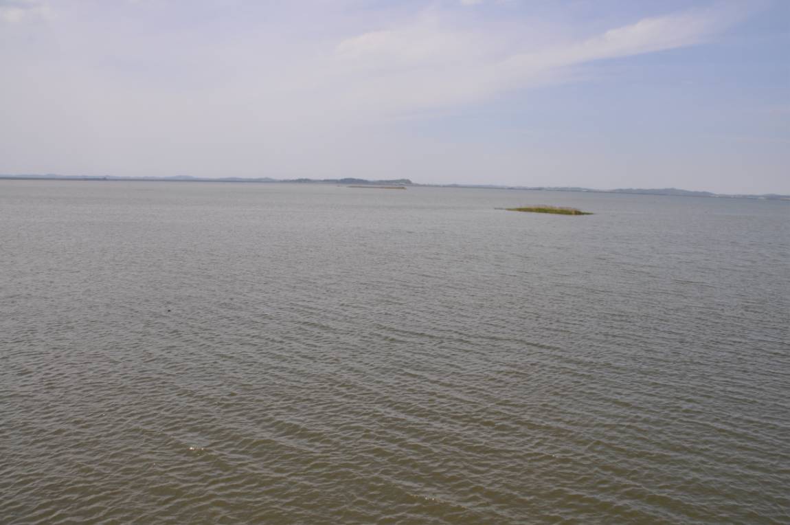 DSC_0006.JPG