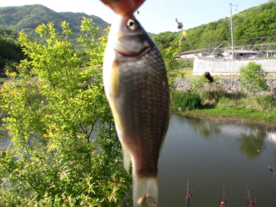 IMG_0761.JPG