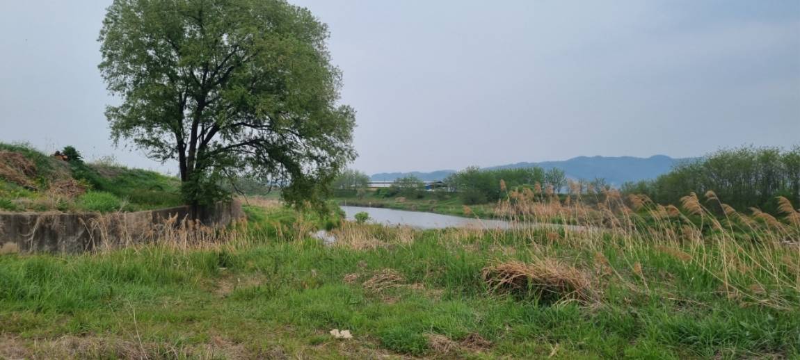 20260502_181034.jpg