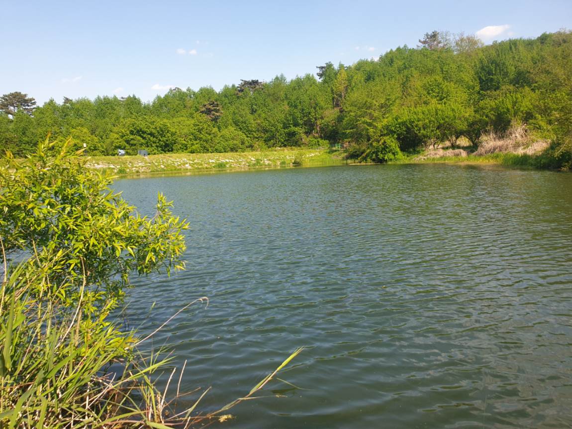 20260504_161419.jpg