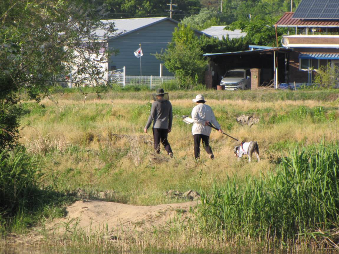 IMG_0802.JPG