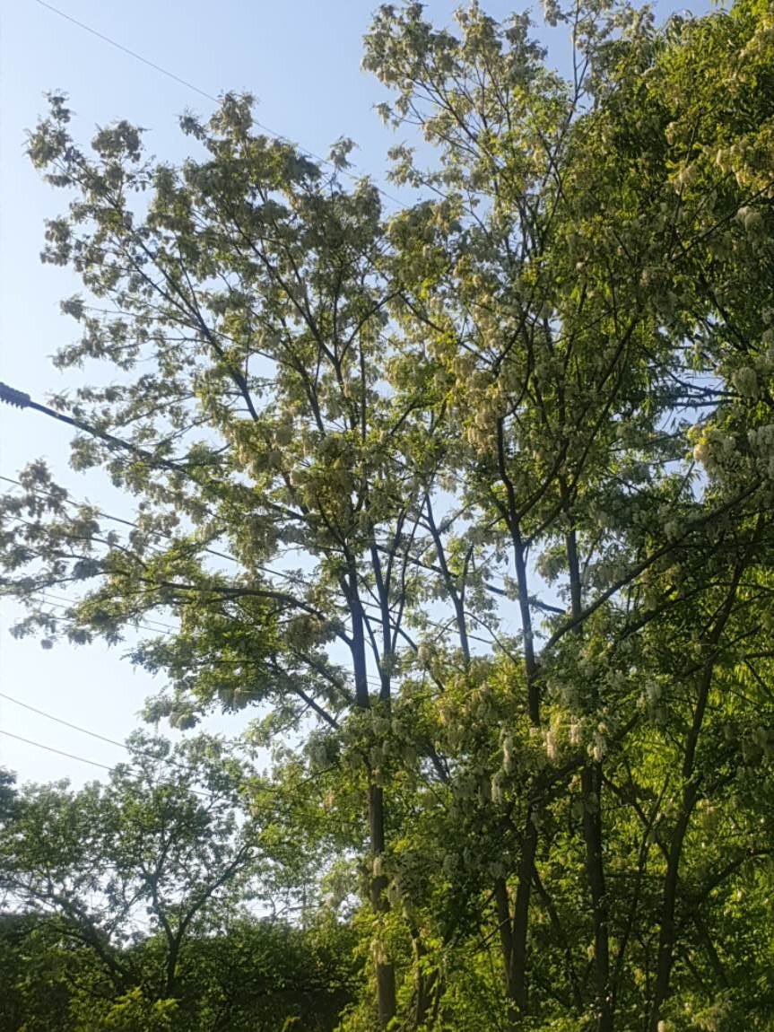 20260506_162650.jpg