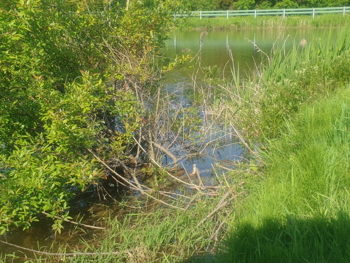 20260506_162706.jpg