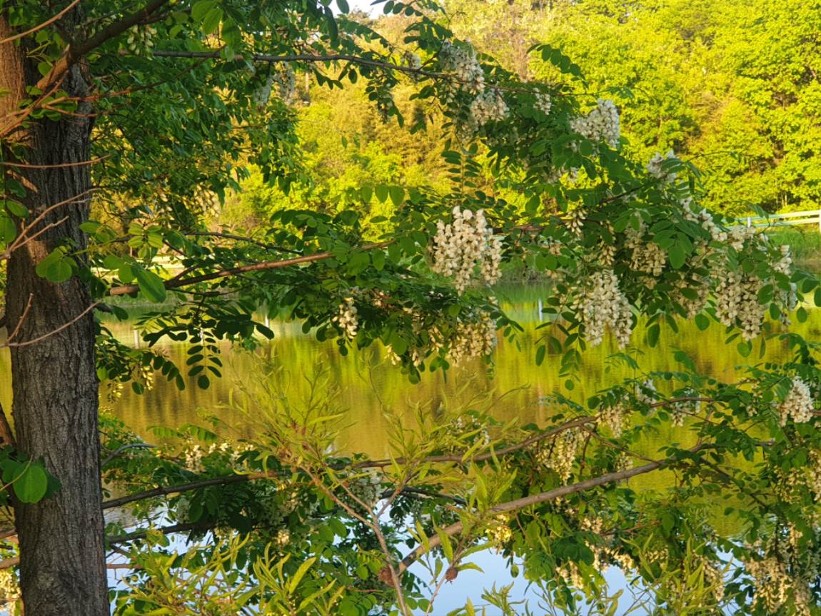 20260506_182050.jpg