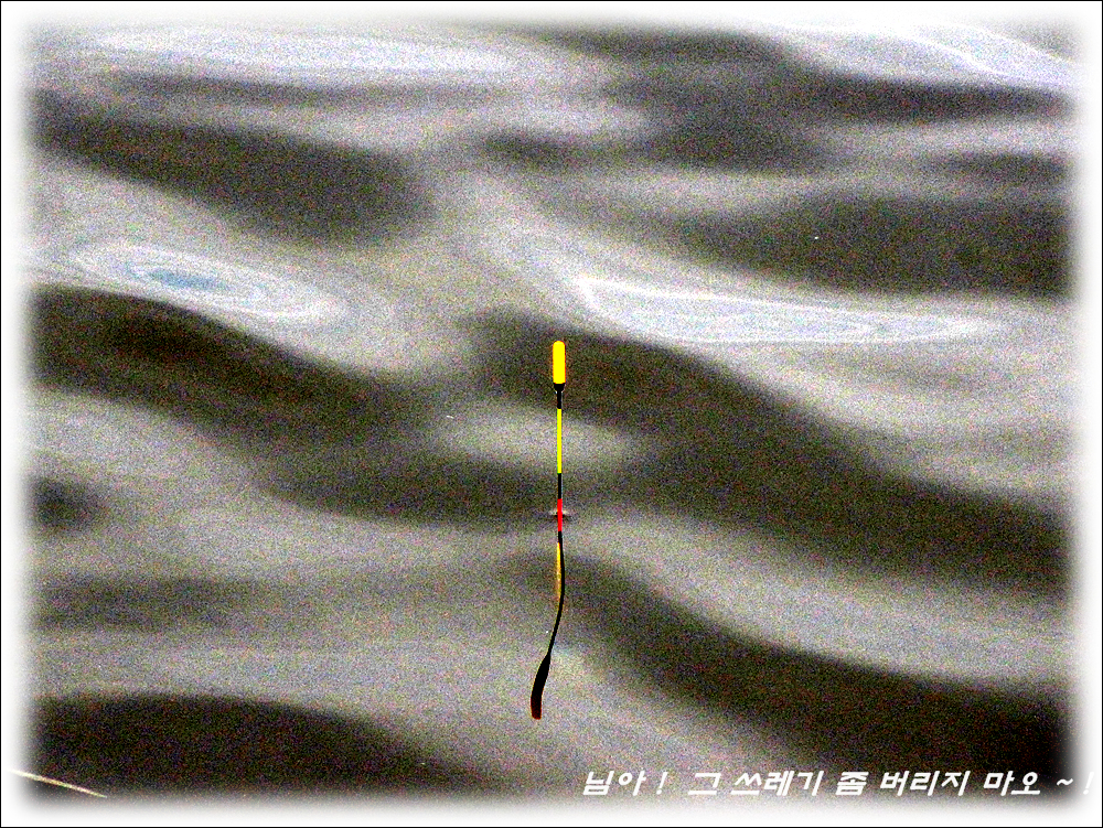 IMG_0822.jpg