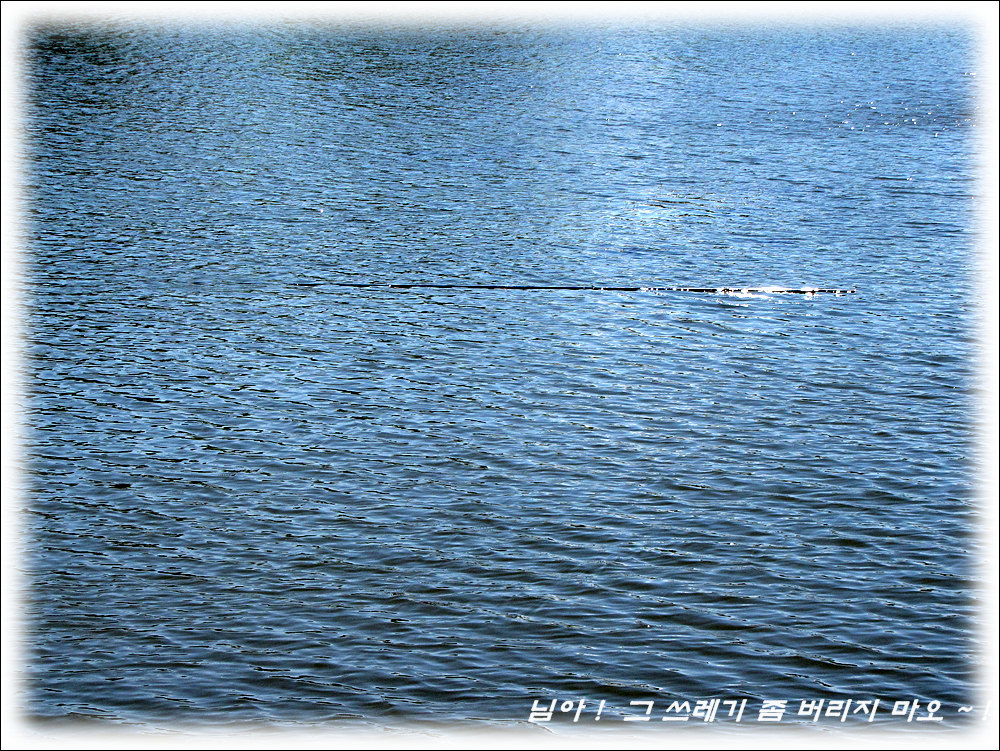 IMG_0832.jpg