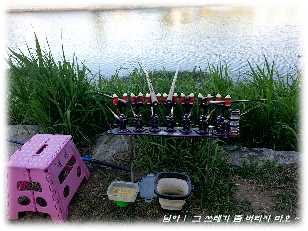 20260508_182651.jpg
