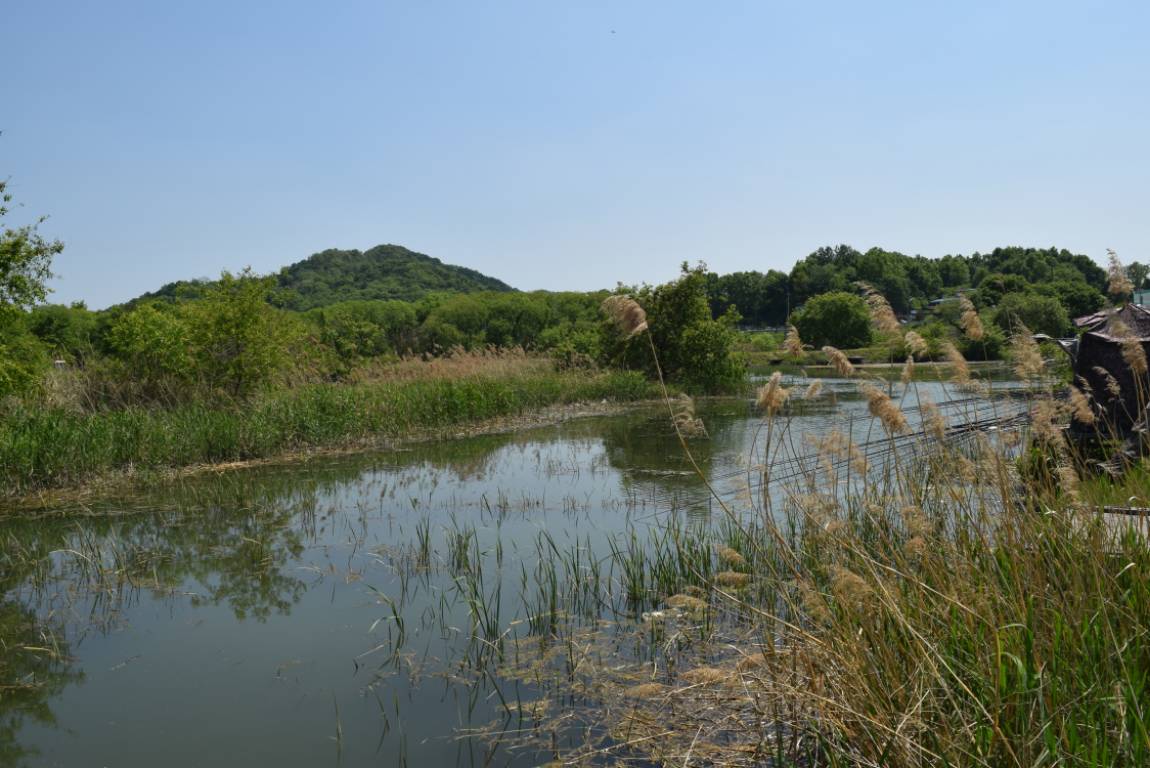 DSC_1584.JPG