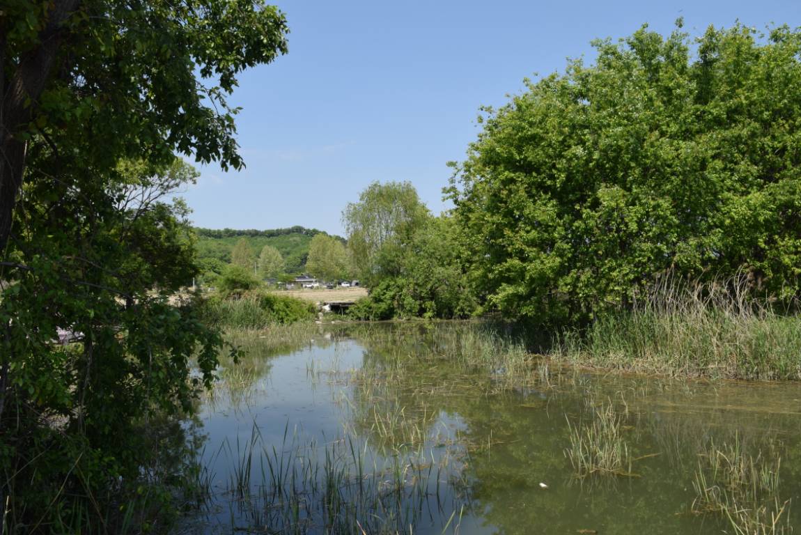 DSC_1583.JPG