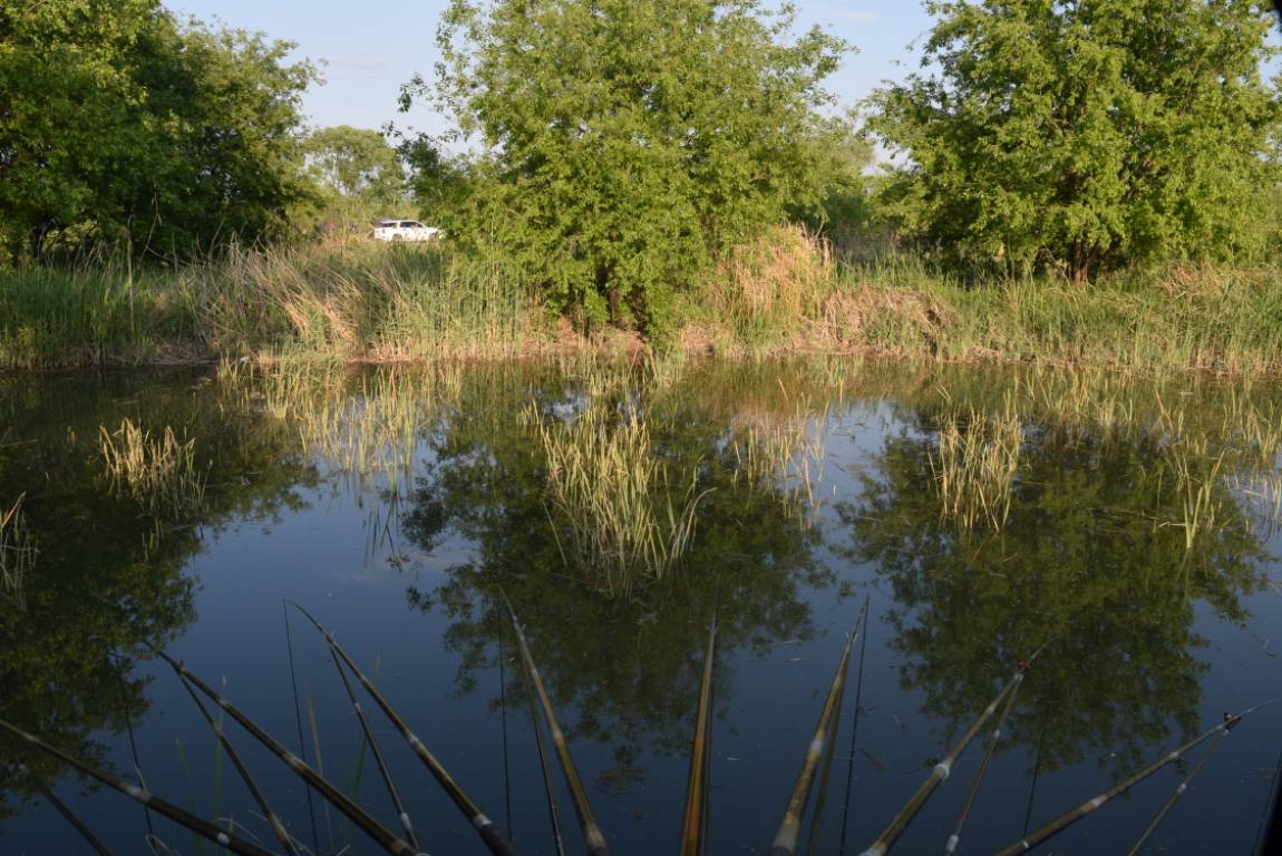 DSC_1586.JPG
