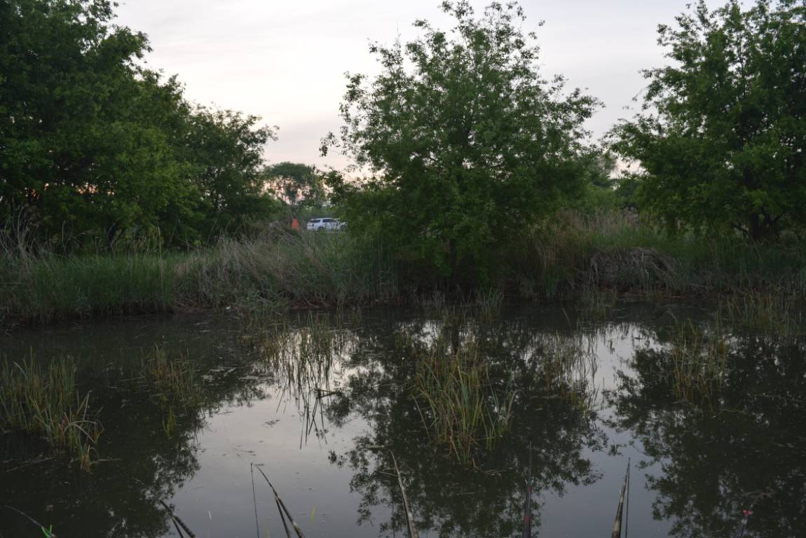 DSC_1592.JPG