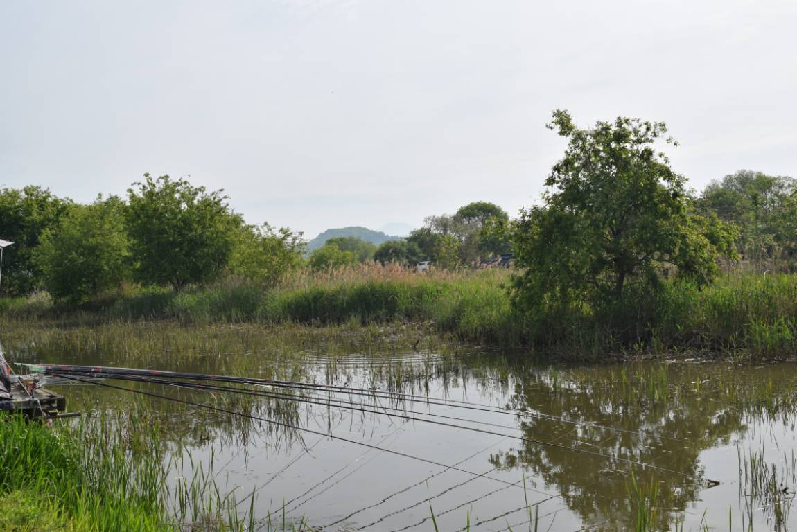 DSC_1623.JPG
