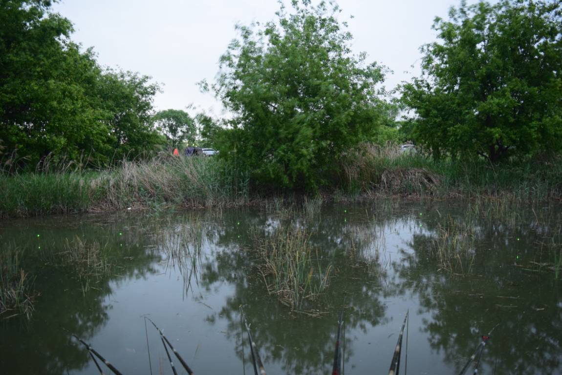 DSC_1634.JPG