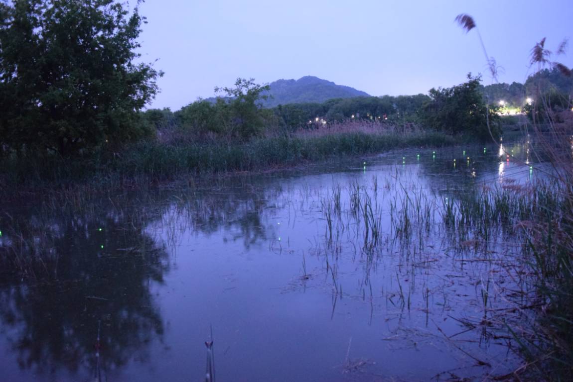 DSC_1636.JPG