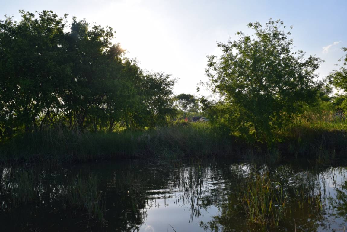 DSC_1638.JPG