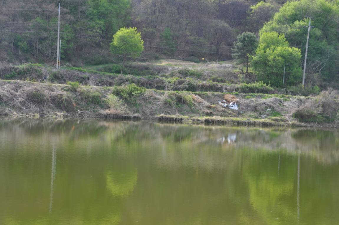 DSC_0003.JPG