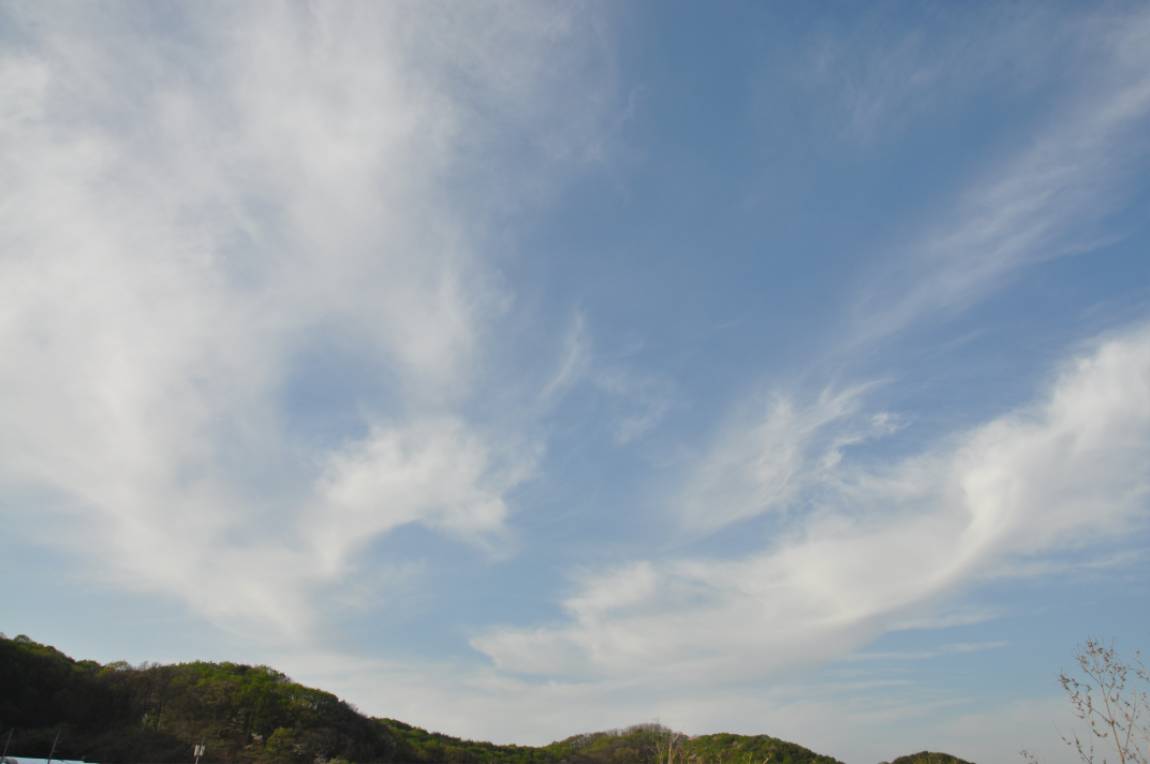DSC_0016.JPG