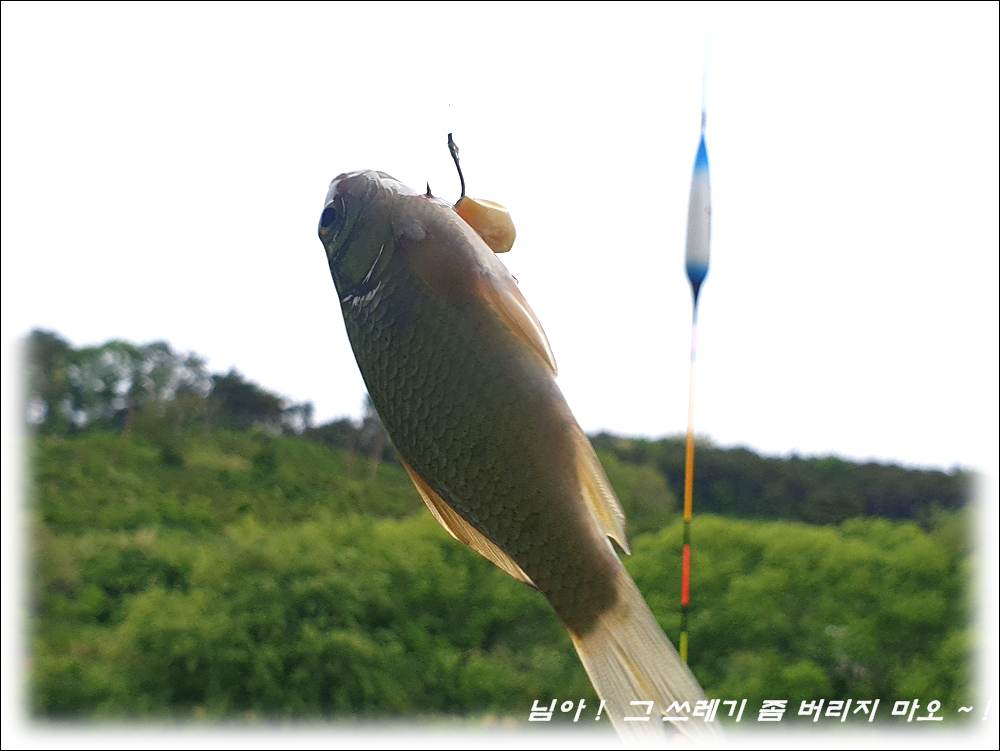 20260511_172129.jpg
