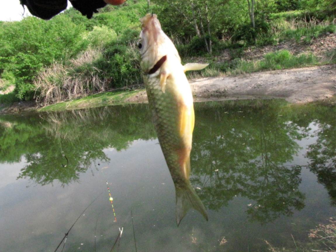 IMG_0899.JPG