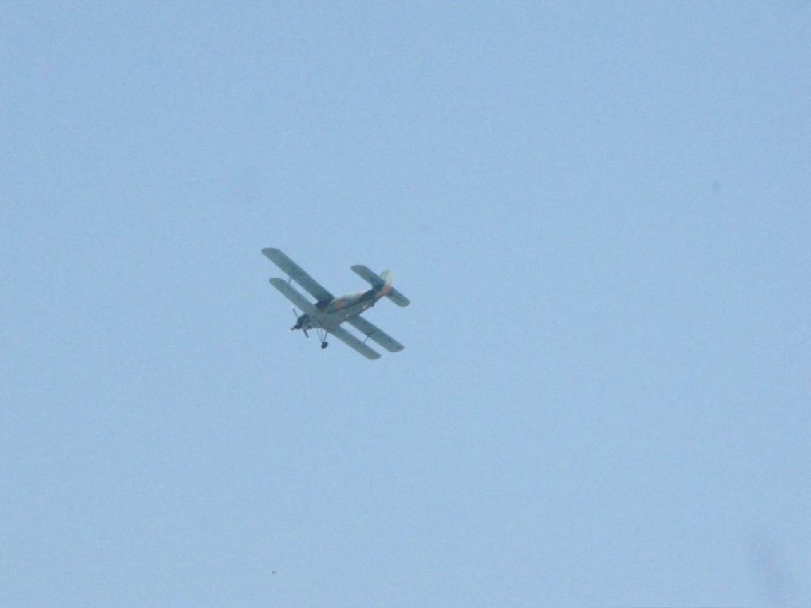 IMG_0953.JPG