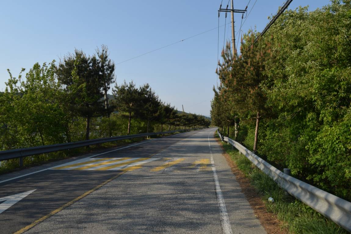 DSC_1696.JPG