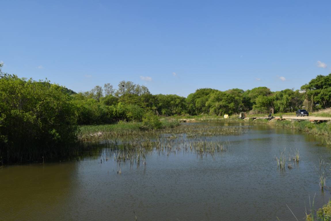 DSC_1653.JPG