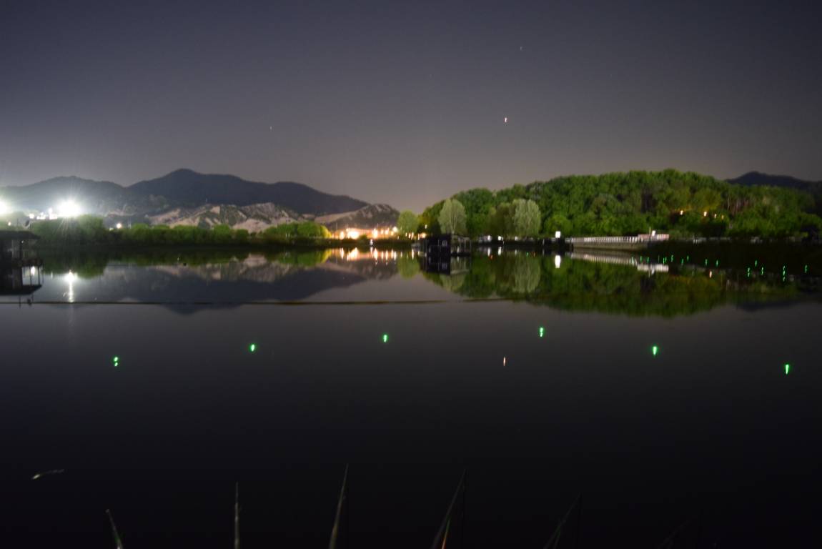 DSC_1704.JPG