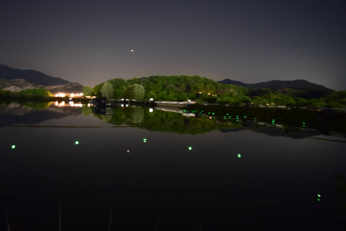 DSC_1706.JPG