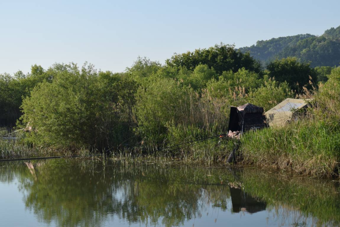 DSC_1675.JPG