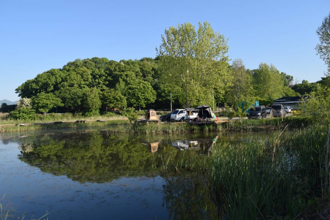 DSC_1676.JPG