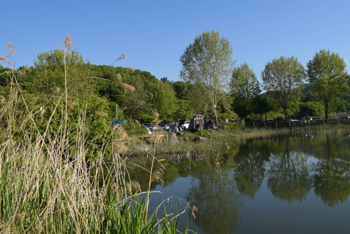 DSC_1687.JPG