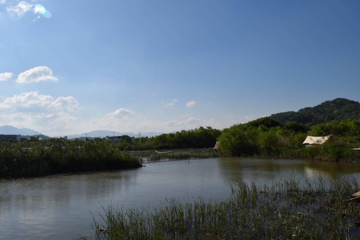 DSC_1639.JPG