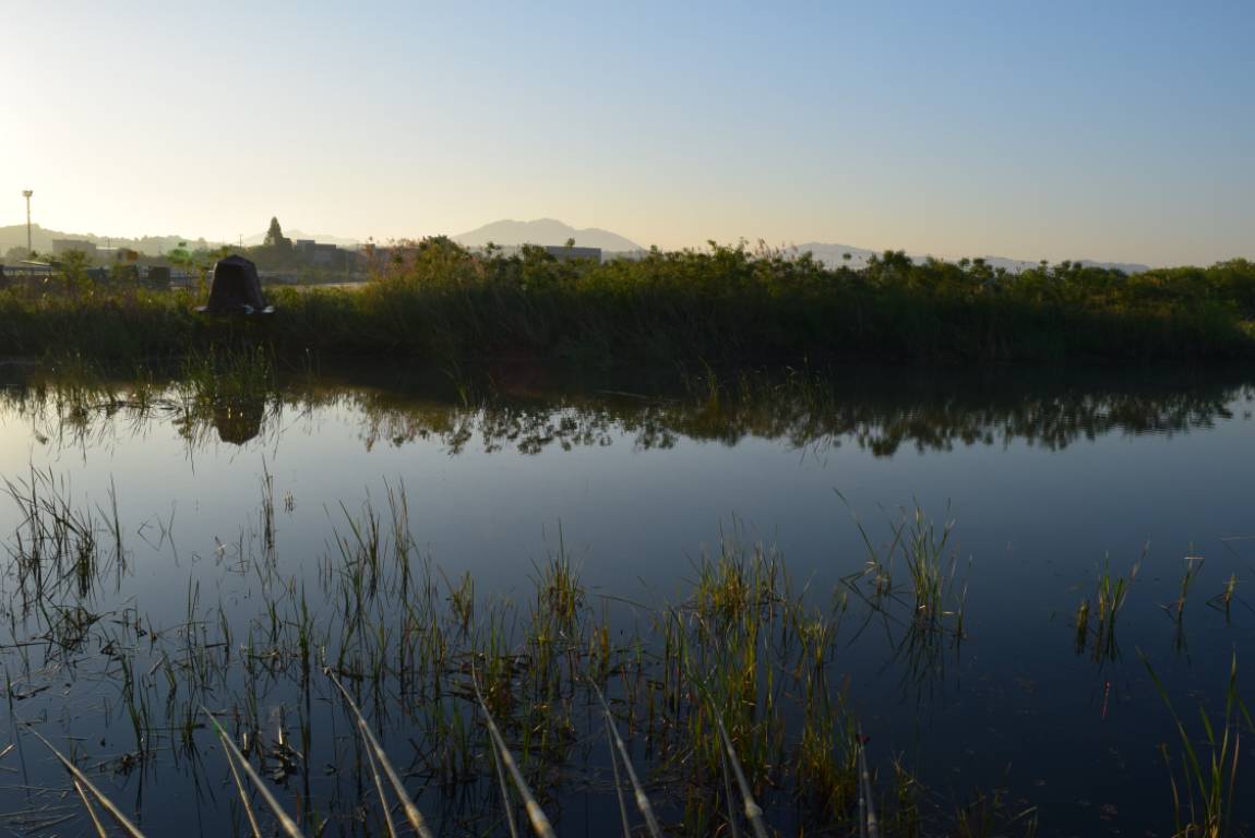 DSC_1659.JPG