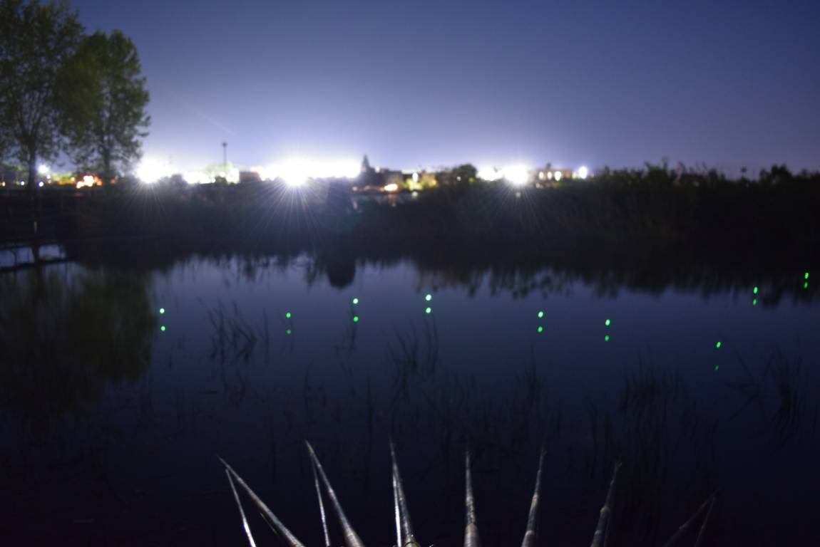 DSC_1655.JPG
