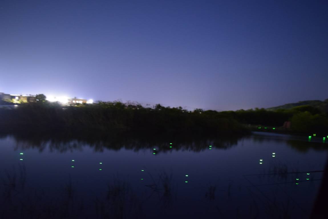 DSC_1657.JPG