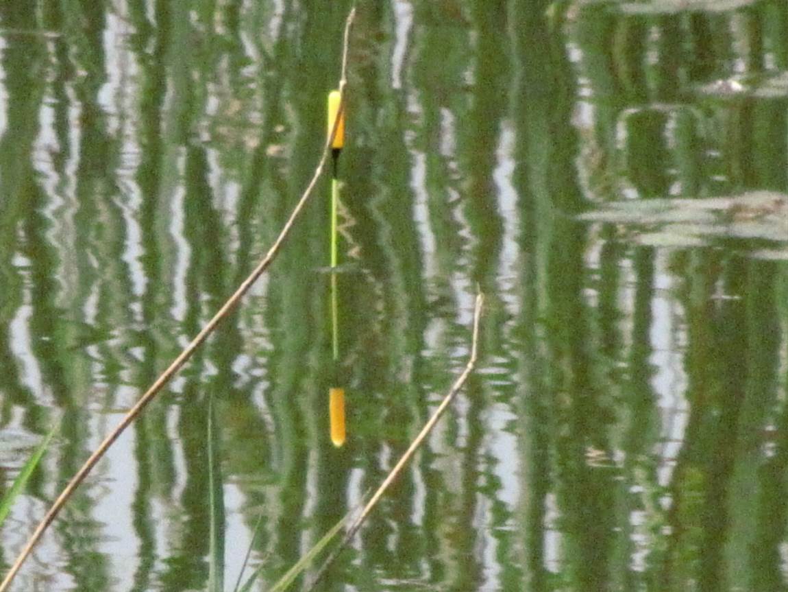 IMG_0970.JPG