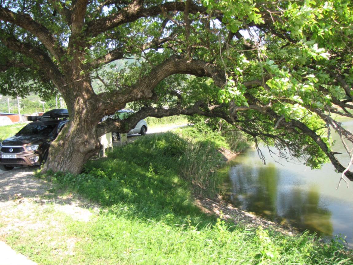 IMG_0984.JPG