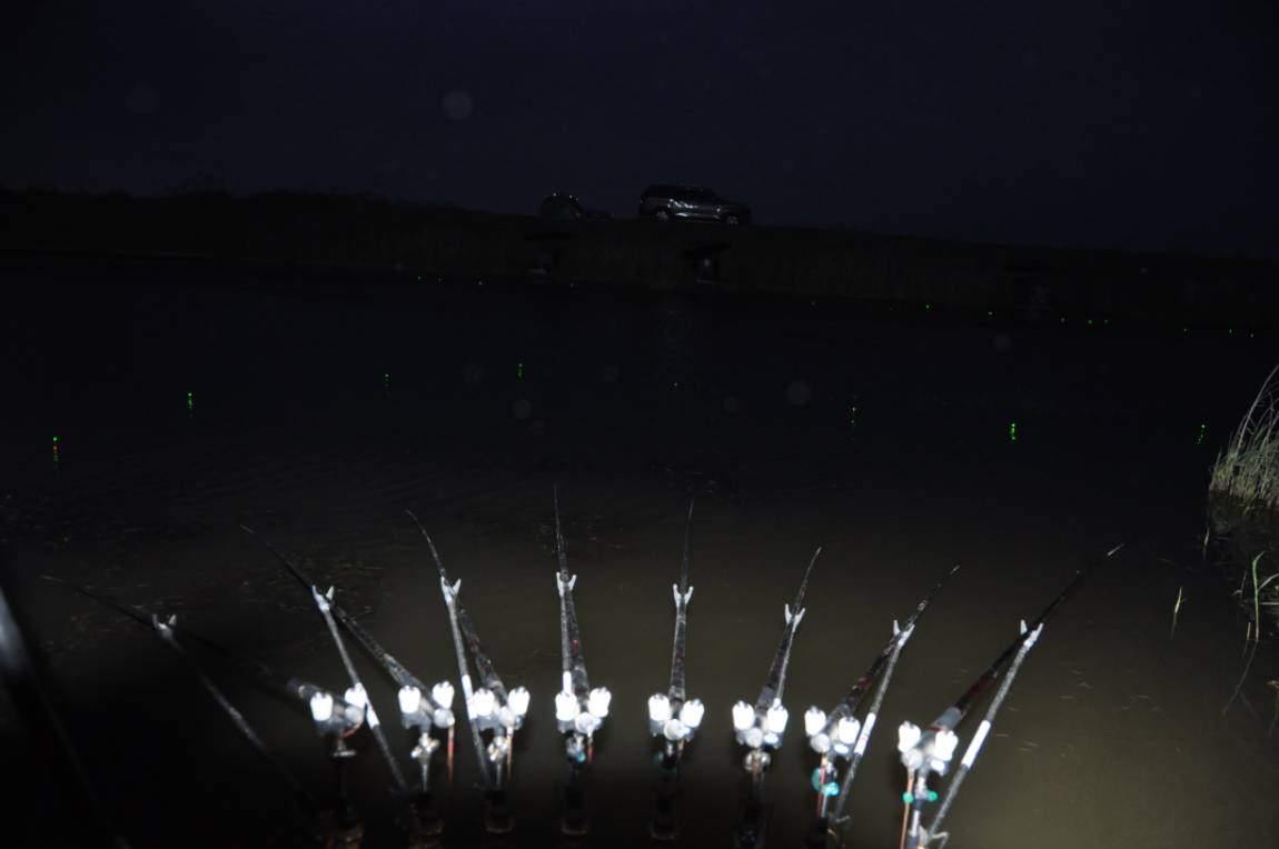 DSC_0027.JPG