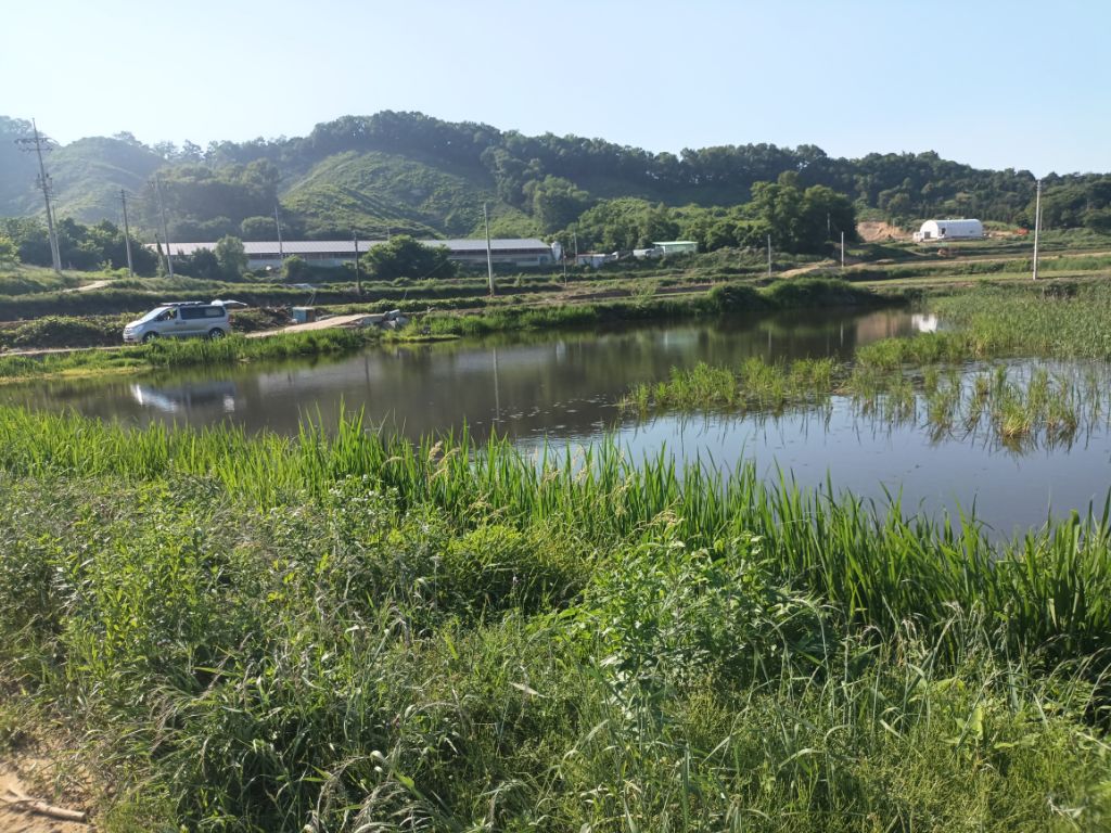 b3bdfe98a815fa1787f36df8946e5831106c6df0.jpg