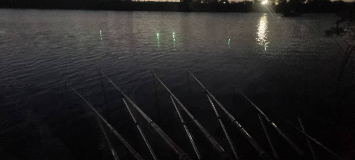20260605_204505.jpg