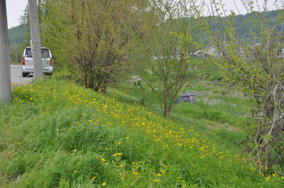 DSC_0036.JPG