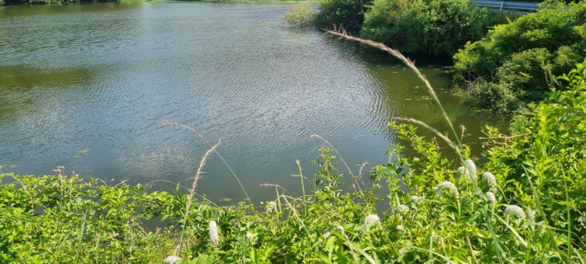 20260612_153740.jpg