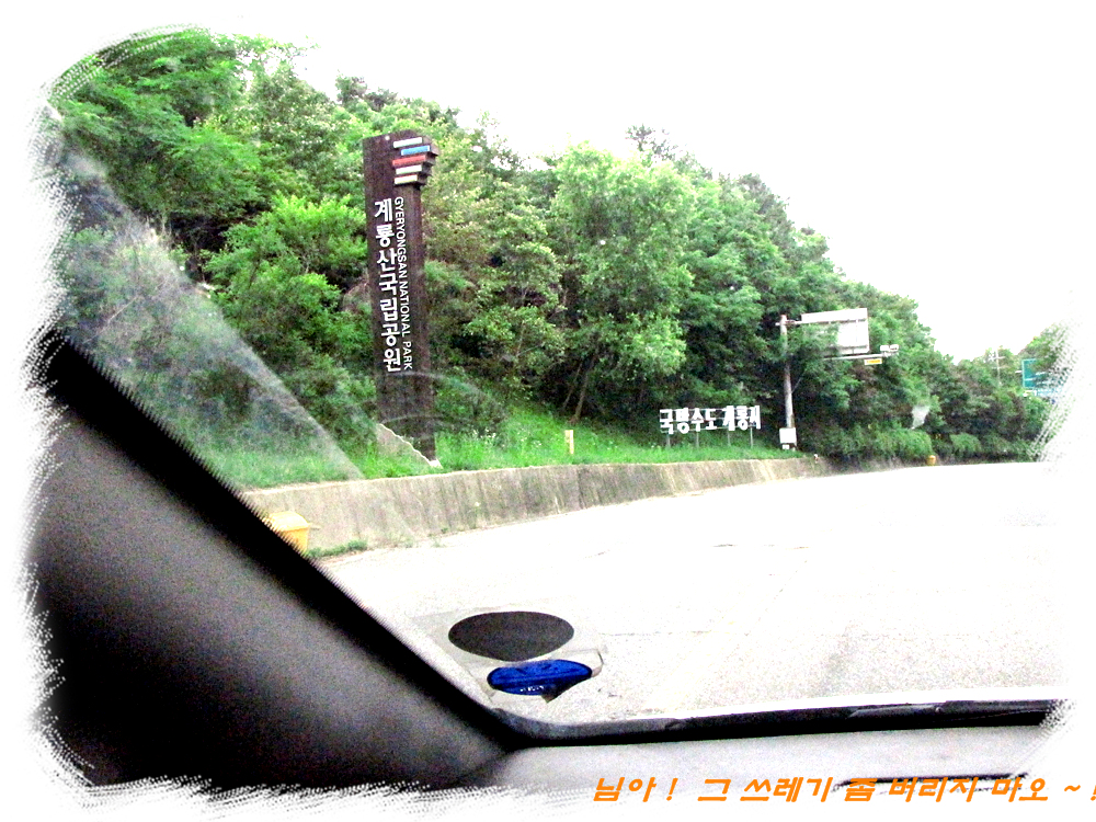 IMG_1249.jpg