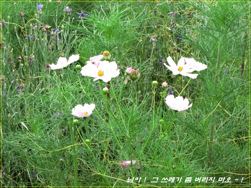 IMG_1297.jpg