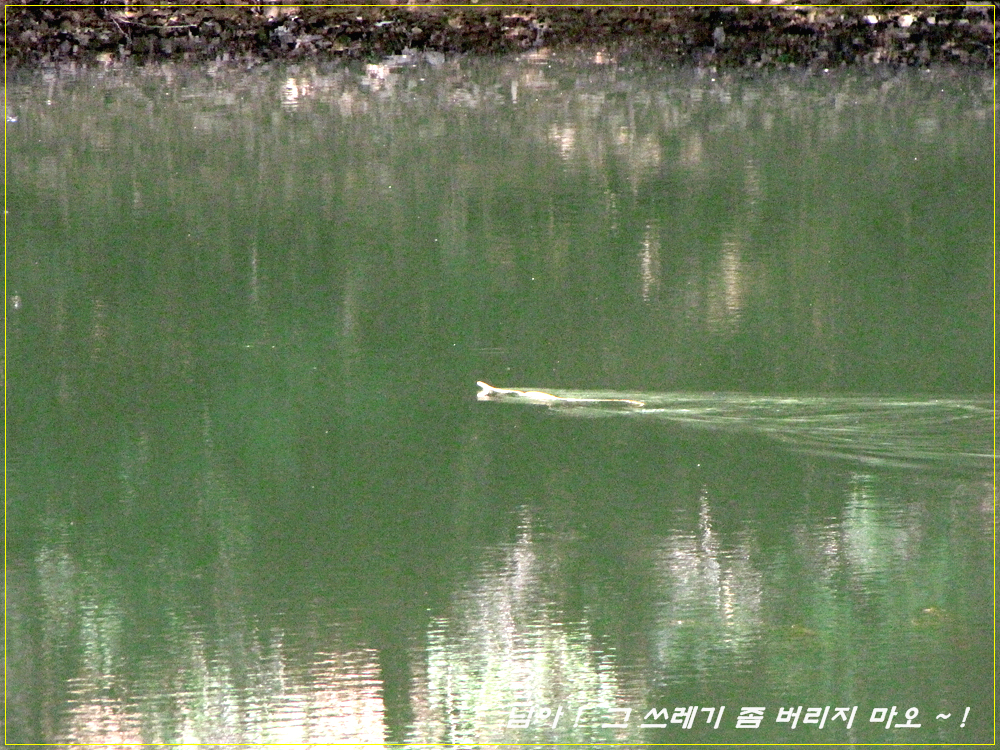 IMG_1325.jpg