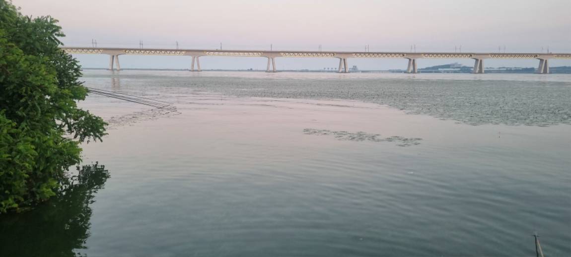 20260628_052142.jpg