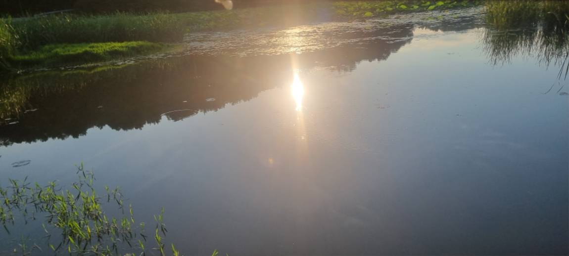 20260629_184224.jpg