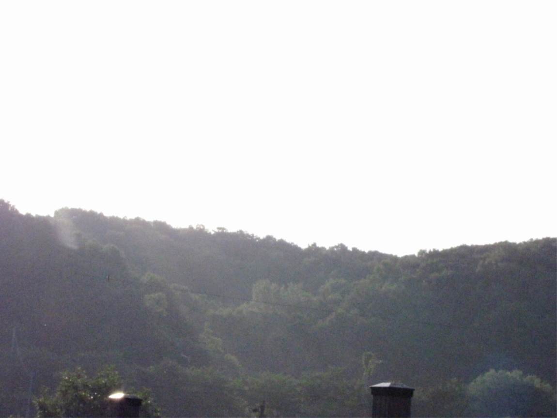 IMG_1350.JPG