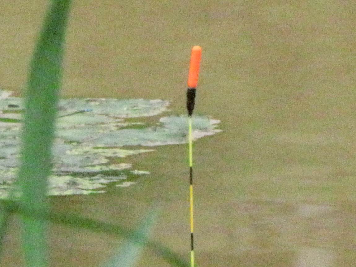 IMG_1420.JPG