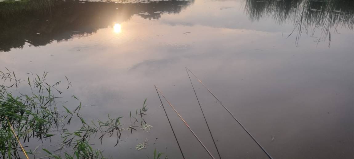 20260710_184415.jpg